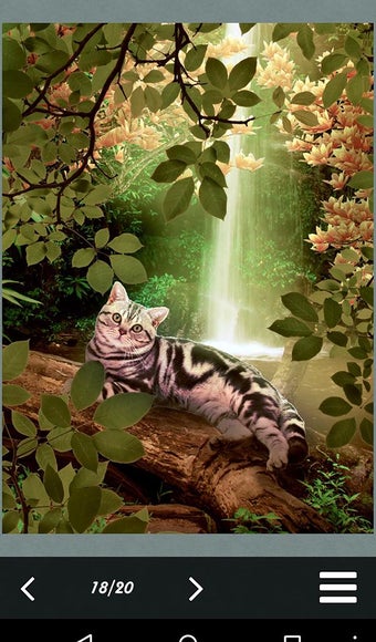 Imagen 3 para Hidden Object - Cats Isla…