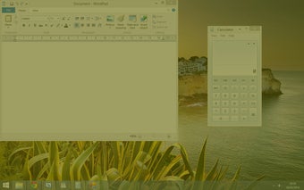 Image 2 for Screen Overlay