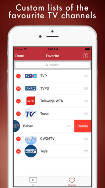 Image 3 for Polska TV - Telewizja Rze…