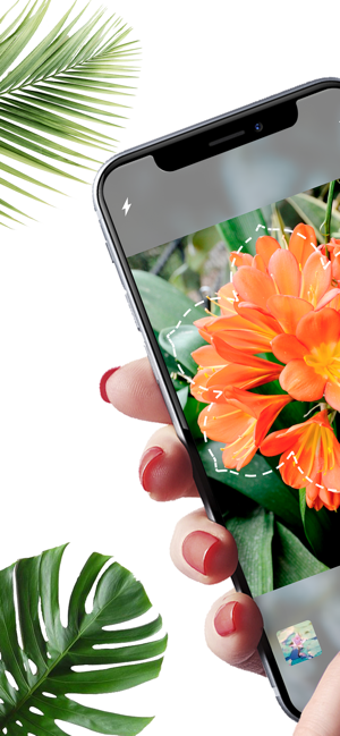 Image 1 for Plantyx - Plant Identific…
