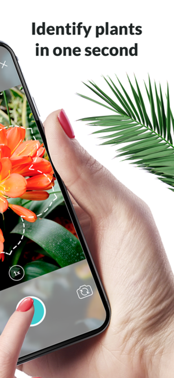 Image 2 for Plantyx - Plant Identific…
