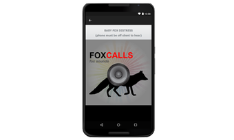 Image 3 for Fox Calls for Fox Hunting