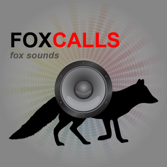 Image 2 for Fox Calls for Fox Hunting