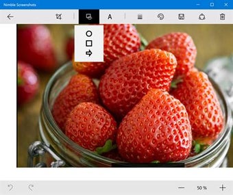 Image 2 for Nimble Screenshots for Wi…