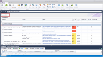 Image 5 for SiteScan Broken Link Chec…