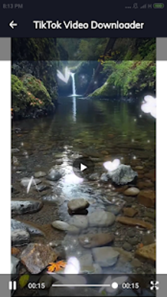 Imagen 0 para Video Downloader For TikT…