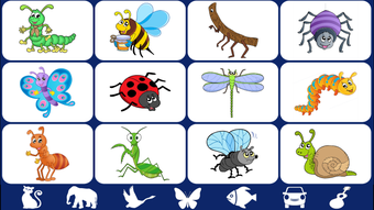 Image 0 for Video Touch - Bugs & Inse…