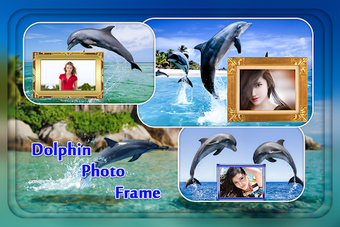 Imagen 2 para Dolphin Photo Frame