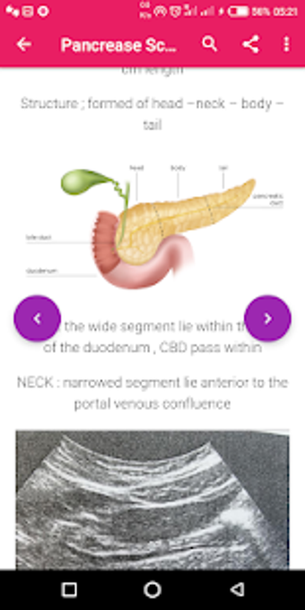 Image 0 for A-Z Abdominal Ultrasound