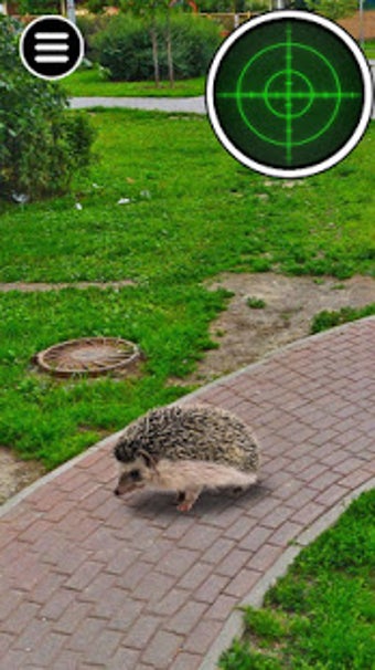 Image 1 for Catching Stray Animals
