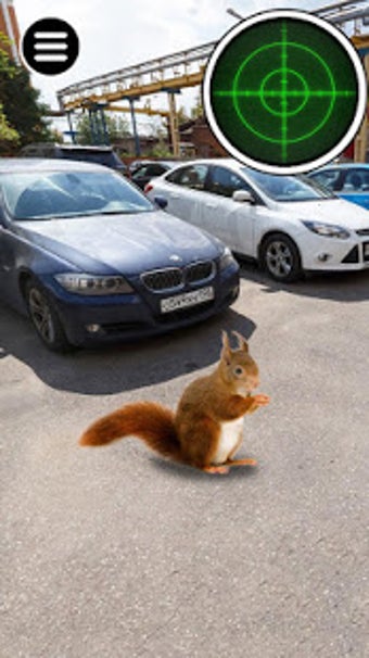 Image 2 for Catching Stray Animals