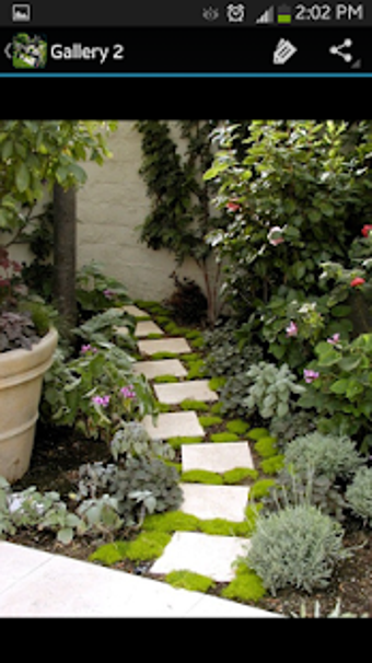 Image 3 for landscaping ideas