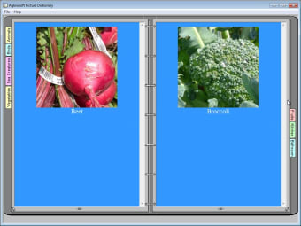 Image 0 for Aglowsoft Picture Diction…