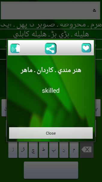 Imagen 0 para The English Urdu Dictiona…