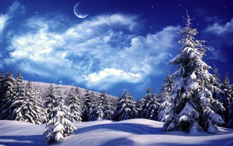 Image 2 for Winter Wallpaper