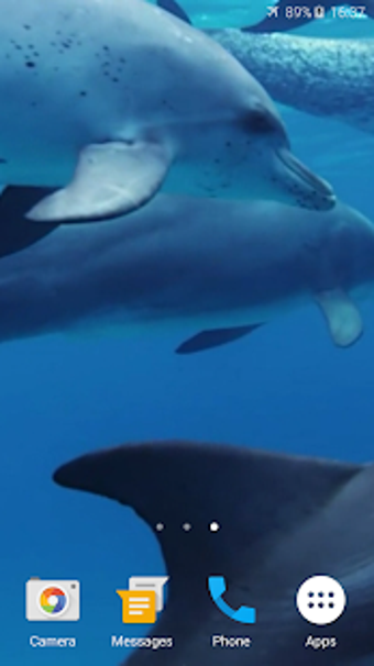 Image 0 for Dolphins Live Wallpaper