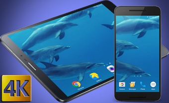 Image 3 for Dolphins Live Wallpaper