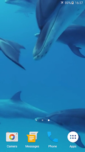 Image 1 for Dolphins Live Wallpaper