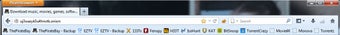 Image 1 for PirateBrowser
