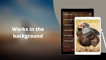 Image 0 for Turkey Sounds - Wild Turk…