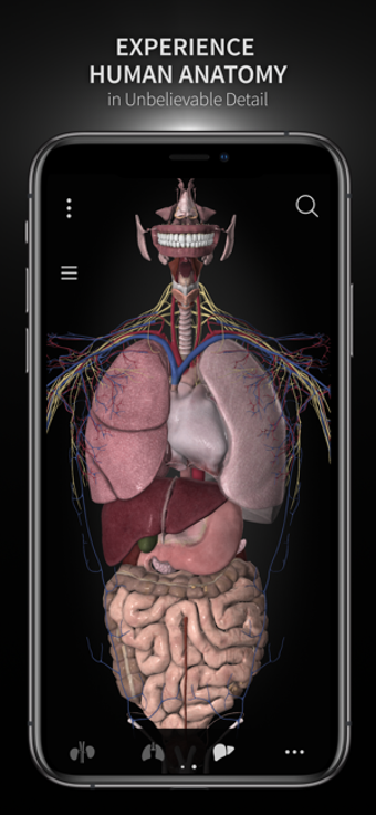 Image 3 for Anatomyka