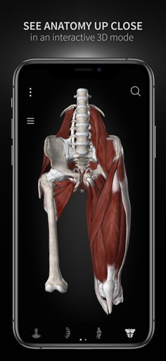 Image 0 for Anatomyka