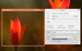 Image 0 for FrameDummy