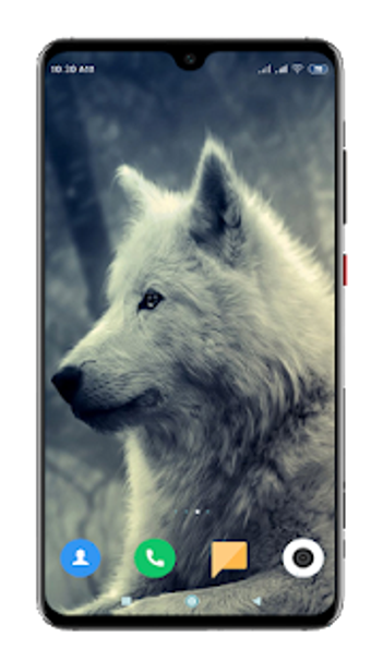 Image 1 for Wolf Wallpaper 4K