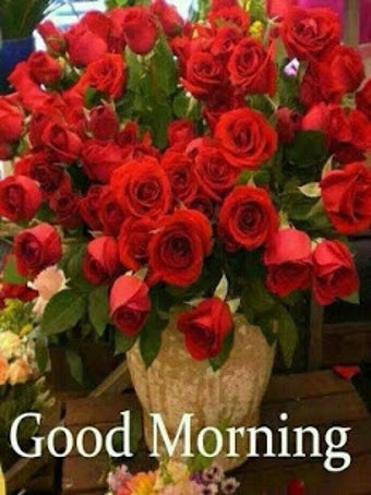 Image 3 for Good Morning Flowers 2020