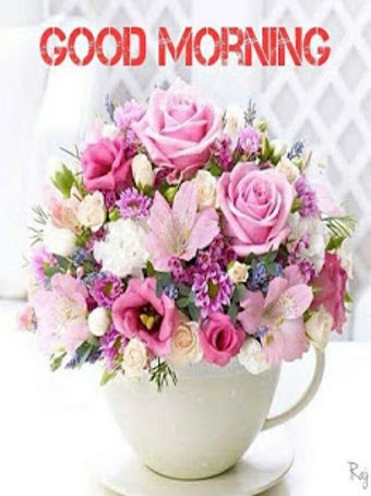 Image 0 for Good Morning Flowers 2020