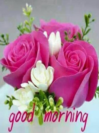Imagen 1 para Good Morning Flowers 2020