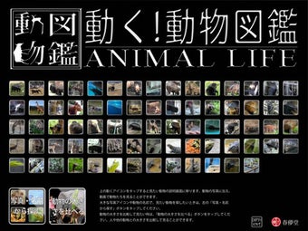 Image 0 for Animal Life for Japan