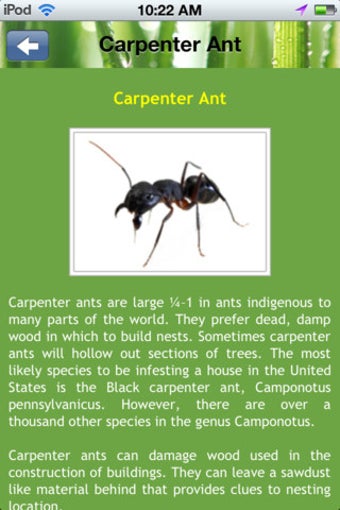 Image 2 for Enviro-Tech Pest Services