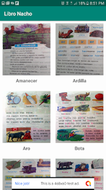 Imagen 0 para Libro Nacho