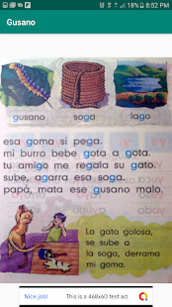 Imagen 1 para Libro Nacho