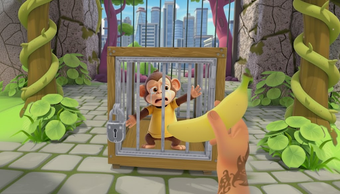 Image 0 for I Am Zoo Monkey