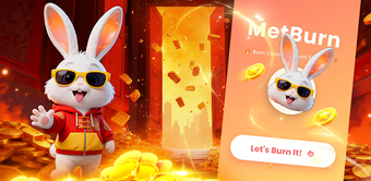 Image 0 for Met Burn