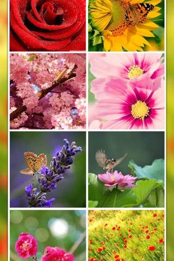 Imagen 0 para Flower WP~Extremely HD Fl…