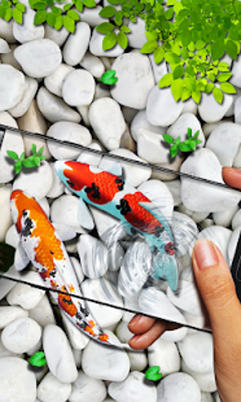 Image 0 for Fish Live wallpaper 2019:…