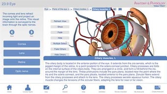 Image 1 for Anatomy & Physiology - Le…