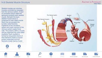 Image 2 for Anatomy & Physiology - Le…