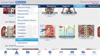 Image 0 for Anatomy & Physiology - Le…
