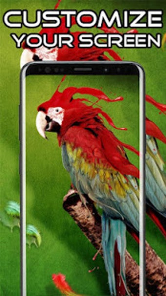 Image 1 for Parrot Wallpaper HD 4K