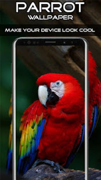 Image 2 for Parrot Wallpaper HD 4K