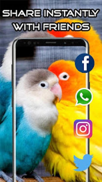 Image 0 for Parrot Wallpaper HD 4K