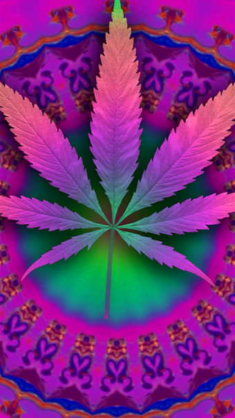 Imagen 0 para Psychedelic Marijuana Liv…