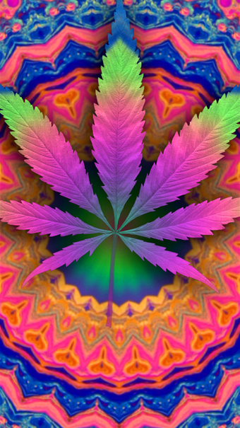 Imagen 2 para Psychedelic Marijuana Liv…