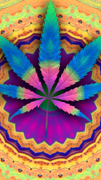 Imagen 1 para Psychedelic Marijuana Liv…