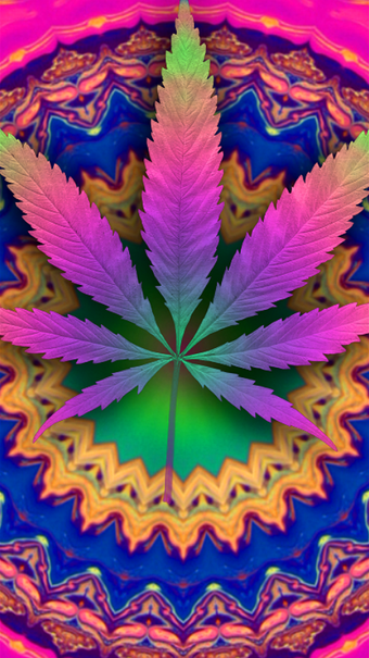 Imagen 3 para Psychedelic Marijuana Liv…