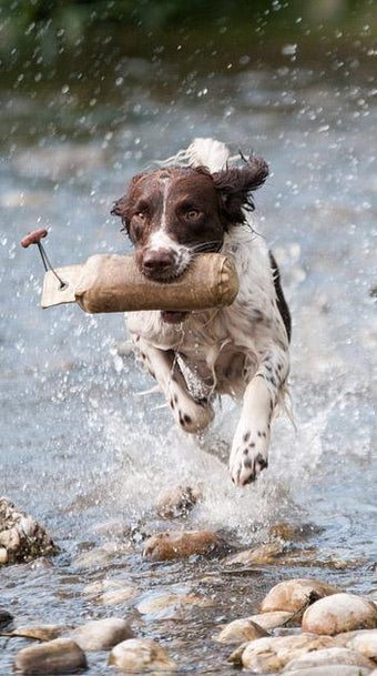 Imagen 1 para slow motion